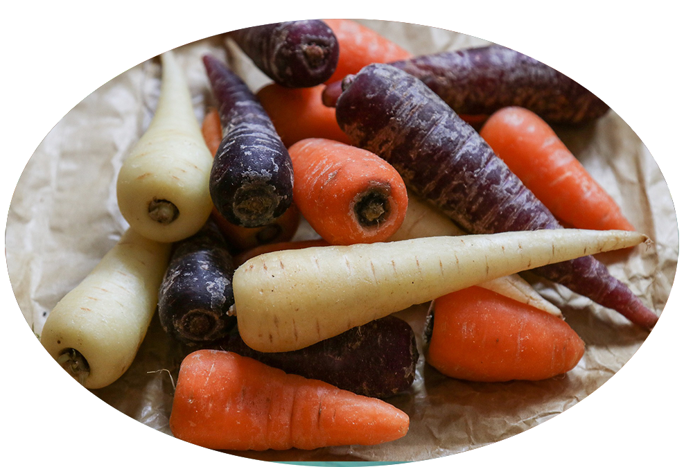 EREĞLİ ARDA Tarım